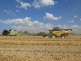 Landwirtschaftliche Leistungen